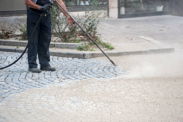 Best Driveway Pressure Washing  in Maywood, CA