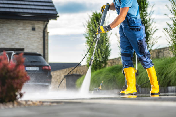 Best Solar Panel Cleaning  in Maywood, CA